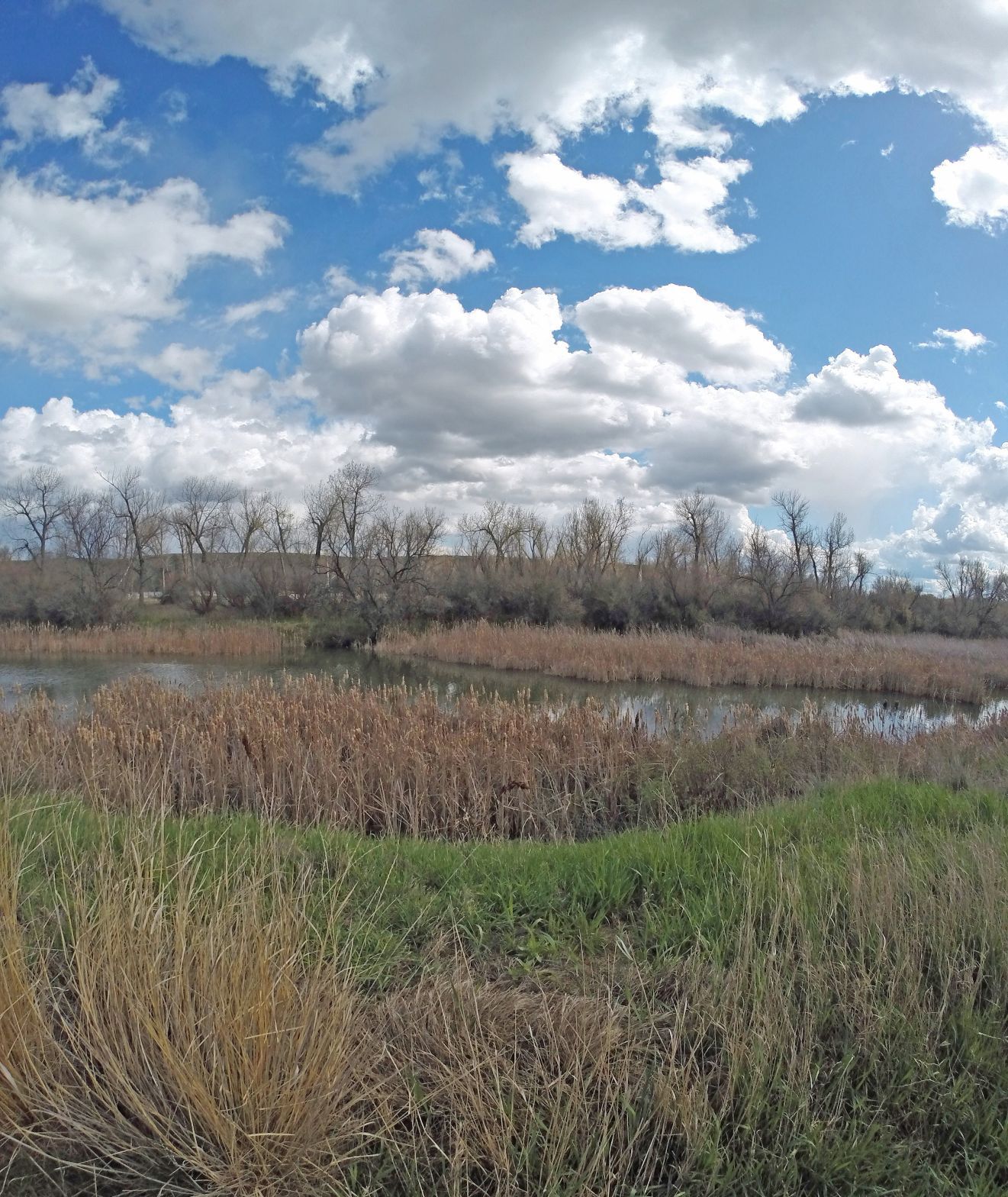 Wetlands